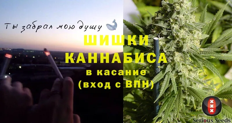 shop Telegram  Неман  Шишки марихуана OG Kush 